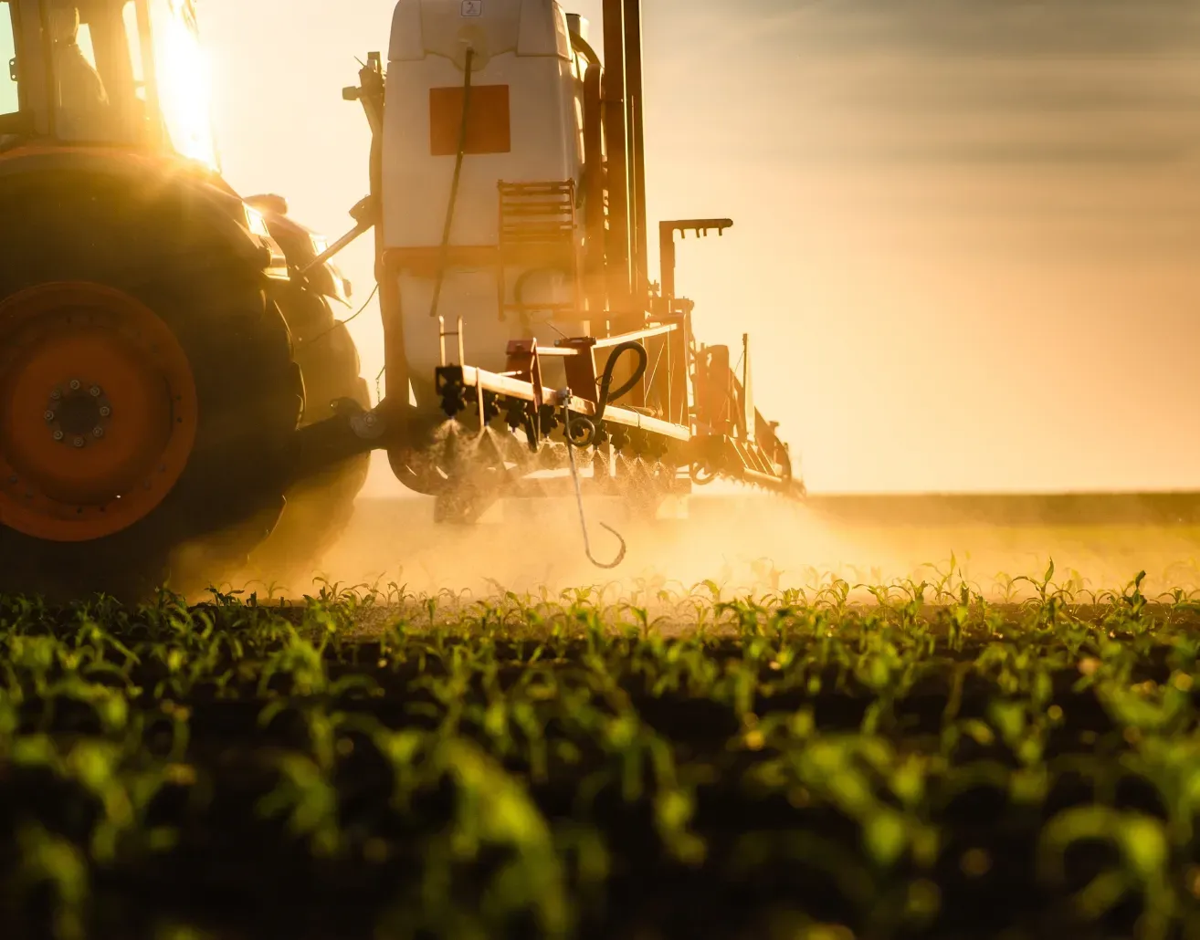 Agriculture